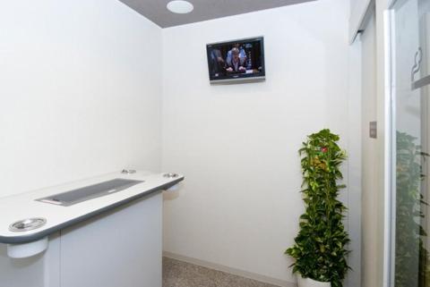 a bathroom with a sink and a plant on the wall at Dormy Inn Tsu in Tsu