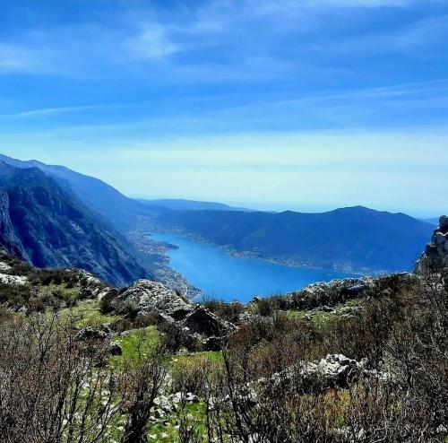 a view of a lake from a mountain at Apartments Pejanović in Kotor
