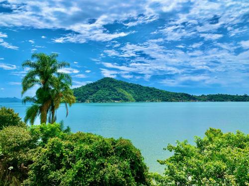 a palm tree in the middle of a large lake at Santa Clara Hotel in Paraty