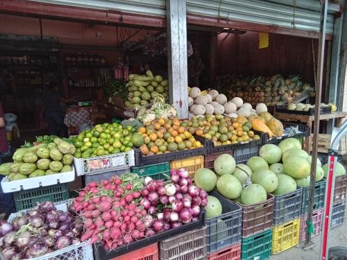 un’esposizione di frutta e verdura in un mercato di Hostel Casa Verde, Tela Atlantida. a Tela