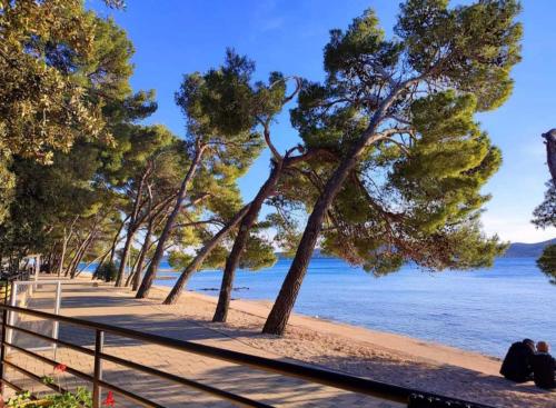 a beach with trees and the ocean in the background at Ana Mobile Home - Kamp Soline - Biograd na Moru in Biograd na Moru