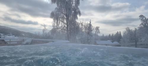 a bath tub covered in snow with trees in the background at Level780 in Koszarawa