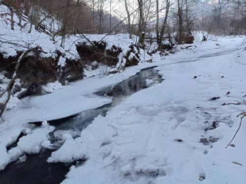 a river covered in snow next to a forest at VIKENDICA NOLE Jahorina in Pale