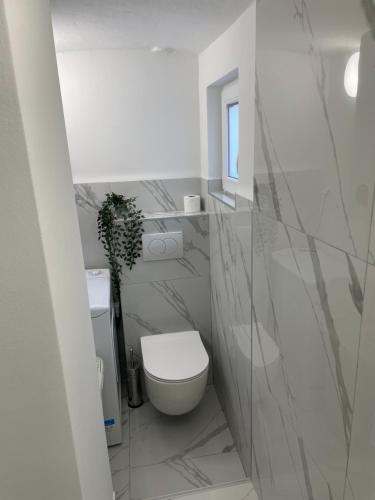 a white bathroom with a toilet and a window at Apartment Studio Beauty in Centar in Pula