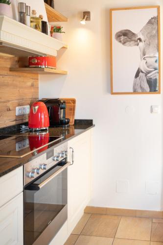 Una cocina o cocineta en Dorfchalets & Apartments - in Kaprun centre including FREE entry Tauern Spa and Summer Card