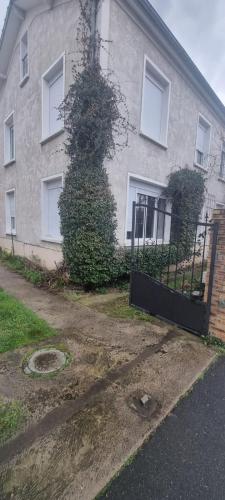 Maison le Diamant vert – Photos 3