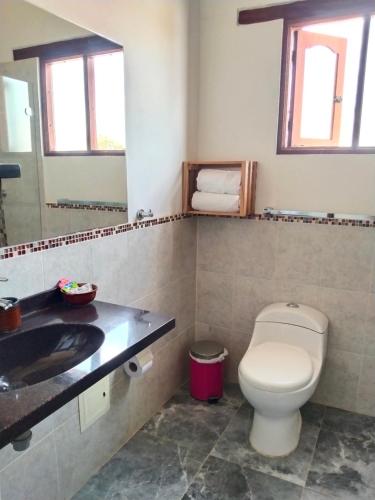 a bathroom with a toilet and a sink and a mirror at Hotel El Peregrino De La Villa in Villa de Leyva