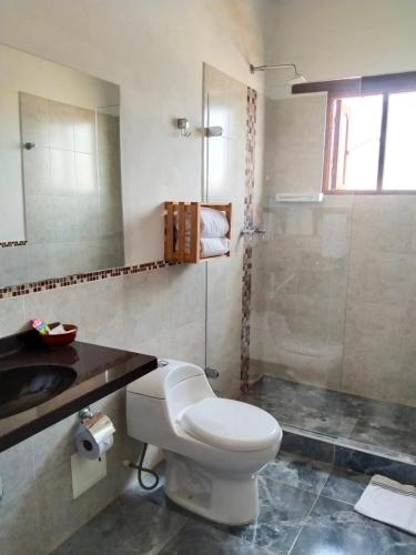 a bathroom with a toilet and a sink and a shower at Hotel El Peregrino De La Villa in Villa de Leyva