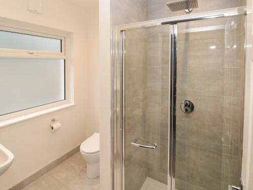 a bathroom with a shower and a toilet at Westwinds in Tenby