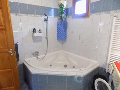 a bath tub with a shower in a bathroom at Gajó Kisduna Magánház in Dunavarsány