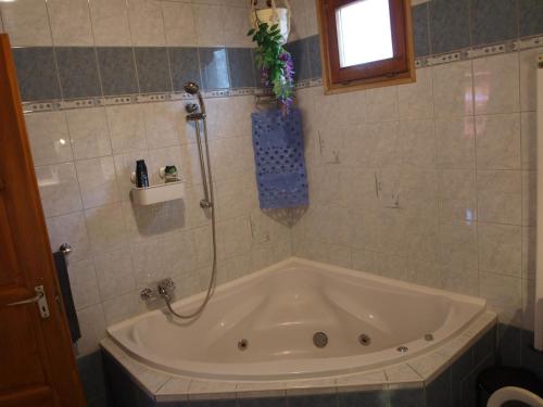 a bath tub in a bathroom with a shower at Gajó Kisduna Magánház in Dunavarsány