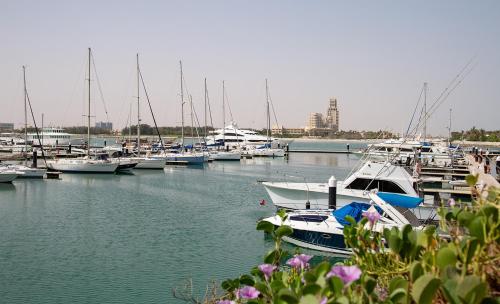 a bunch of boats docked in a marina with purple flowers at Full sea view Studio high floor in Ras al Khaimah