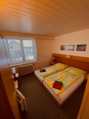 a bedroom with two beds in a room at Penzion Valeš in Borovany