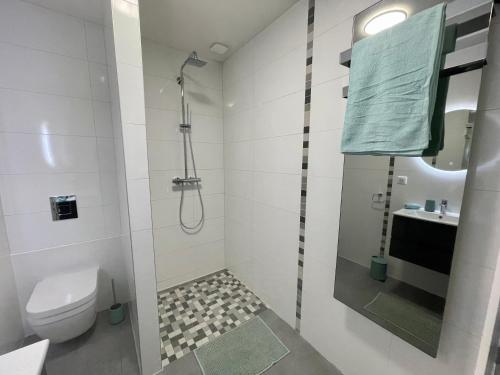 Koupelna v ubytování Appartement atypique : Le Puits