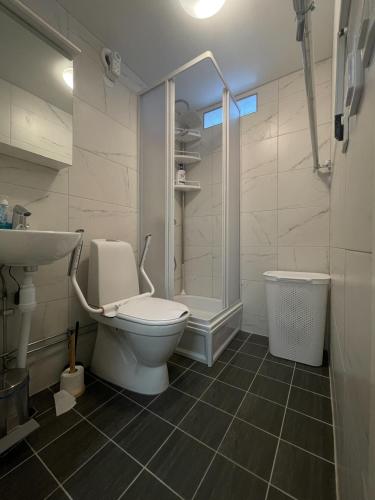 a bathroom with a toilet and a shower and a sink at BRABO in Landskrona