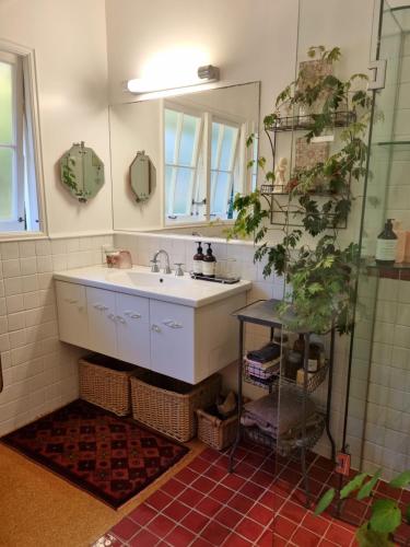 uma casa de banho com um lavatório e um espelho em Whiteacres em Invercargill