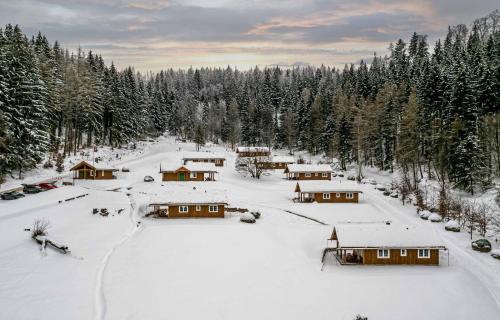 an aerial view of a snow covered village with trees at Frydrysówka in Jaworek
