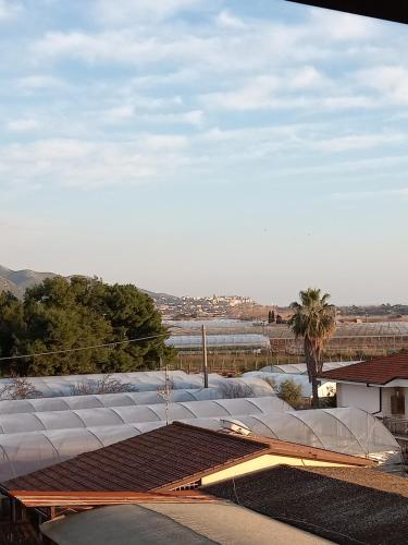 vue aride sur le toit d'un immeuble avec un palmier dans l'établissement Alloggio Turistico Residenza Padovano, à Sperlonga