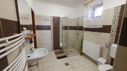 uma casa de banho com um chuveiro e um lavatório. em Kékszilva Vendégház em Pap