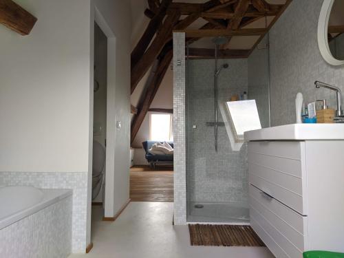ein Bad mit einer Dusche und einem Waschbecken in der Unterkunft Le Nid du Hibou in Saint-Julien-de-Civry