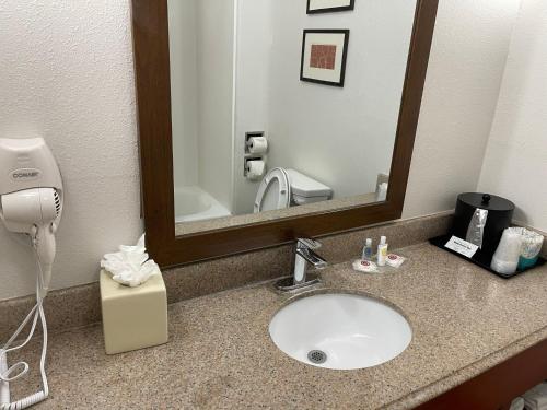 Gallery image of Comfort Suites Lake Charles in Lake Charles