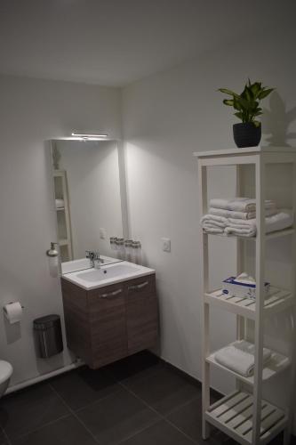 łazienka z umywalką i lustrem w obiekcie Le Saint Pierre en Baie Appt 3-4 pers parking privé w mieście Saint-Valéry-sur-Somme