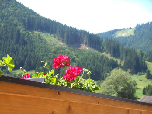 a window box with red flowers on a ledge at Apartment Traumblick in Unterammergau