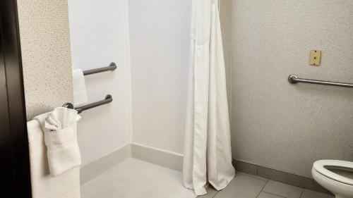 La salle de bains est pourvue d'un rideau de douche et de toilettes. dans l'établissement Holiday Inn Express Hotel & Suites Chicago South Lansing, an IHG Hotel, à Lansing