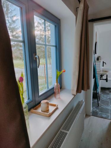 a window in a room with flowers on a window sill at Ferienhaus im Wesenitztal in Stolpen