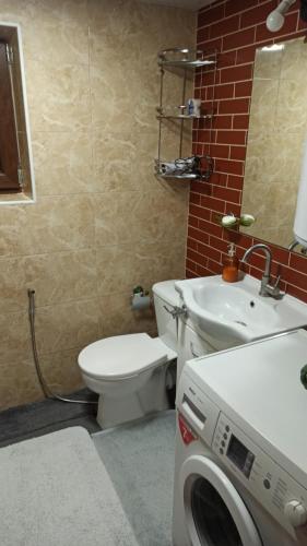 a bathroom with a toilet and a sink and a washing machine at La Boier in Bălţi