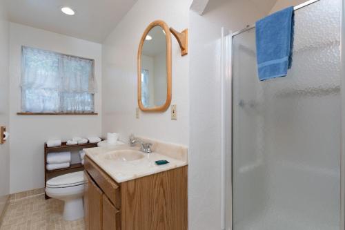 ein Badezimmer mit Toilette, Waschbecken und Dusche in der Unterkunft Clark Cabin in Yosemite West
