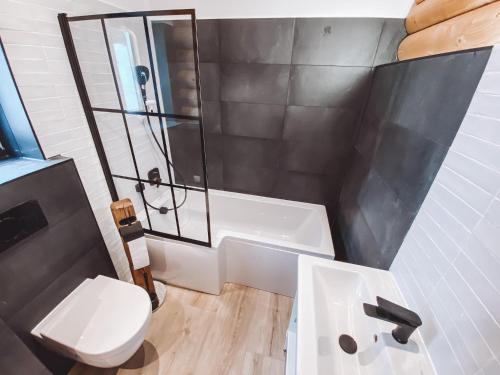 een badkamer met een douche, een toilet en een wastafel bij Trahütti Premium Lodges in Trahütten