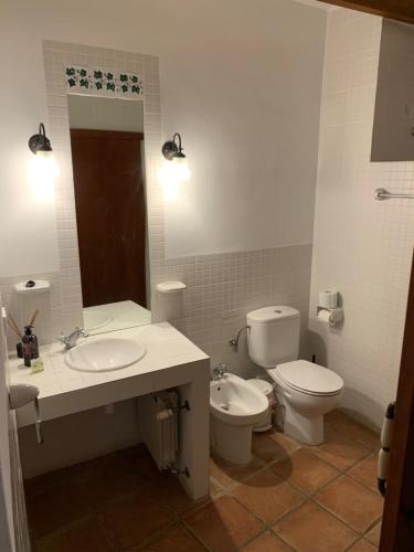 a bathroom with a sink and a toilet and a mirror at Las Puertas Del Indiano in Relleu