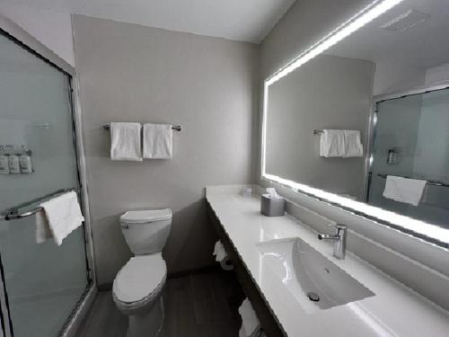 a bathroom with a toilet and a sink and a mirror at Holiday Inn Express - Rensselaer, an IHG Hotel in Rensselaer