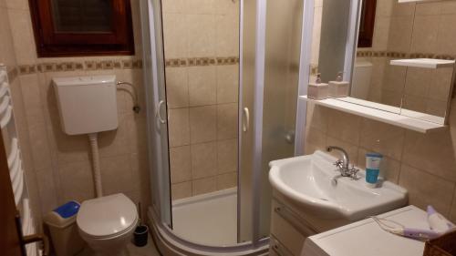 un bagno con doccia, WC e lavandino di Bjelasica Home a Kolašin