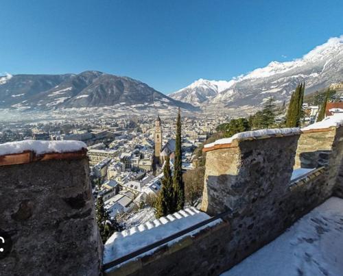 a view of a city with snow covered mountains at Apartment Römerbrücke - Ponte Romano in Merano