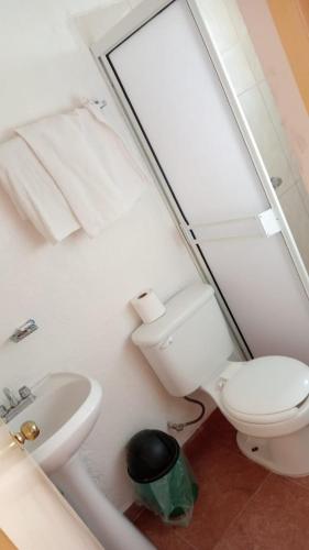 a bathroom with a toilet and a sink and a mirror at Hotel Rocio in Cedral