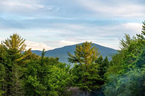 a group of trees with mountains in the background at 1850 Catskills Farmhouse on 8 acres in E. Durham in East Durham