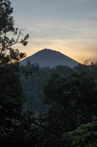 Landskap semula jadi dekat dengan vila ini