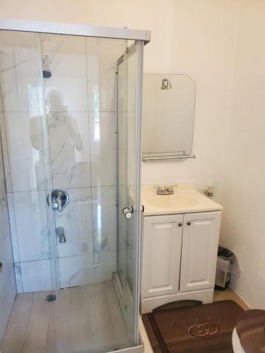 a bathroom with a shower with a sink and a mirror at Comfy Guest Rooms in Port Antonio