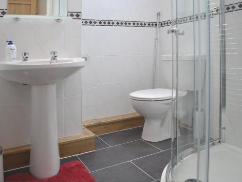 a bathroom with a toilet and a sink and a shower at Llechwedd Mawr in Talybont