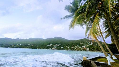 a view of a beach with a palm tree at Sunset Lane in Laborie