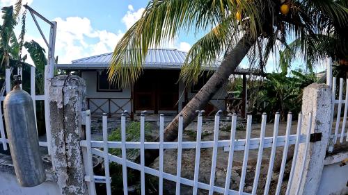 a white fence with a palm tree in front of a house at Coral Inn Providencia Isla in Providencia