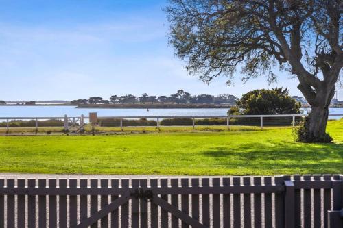 a park with a tree and a fence and water at Swan View in Queenscliff