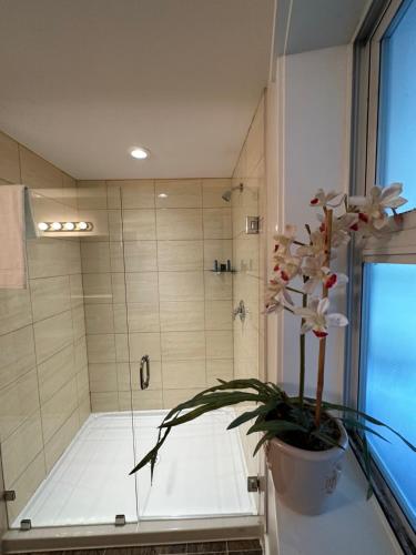 ein Badezimmer mit einer Dusche und einer Topfpflanze in der Unterkunft Bayshore Waterfront Inn in Ucluelet