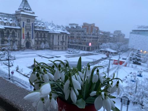 a potted plant on a ledge with a snow covered city at Sweet cozy Ultracentral in Craiova