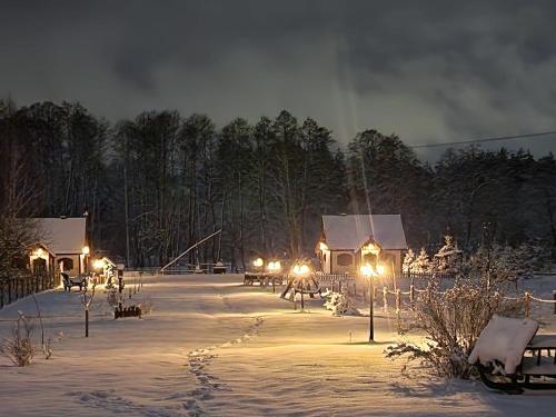 a snow covered yard with lights in the snow at night at Casa Del Campo 1 in Gaśno