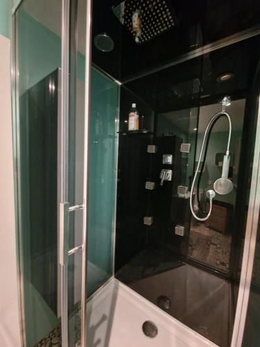 una ducha con puerta de cristal en un baño en Au bord du canal, en Nancy
