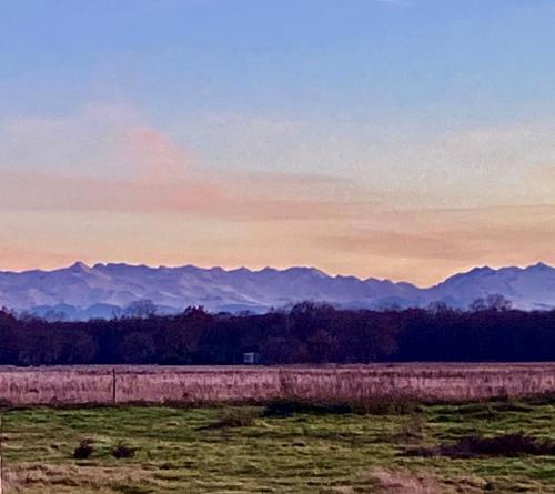 une vue sur un champ avec des montagnes en arrière-plan dans l'établissement Au bonheur des animaux, à Auriébat