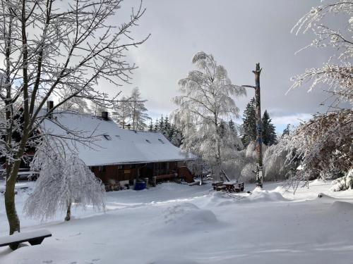 a house covered in snow next to a forest at Penzion Na Habeši in Kašperské Hory